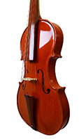Barokna Violina 2 Prednji trbuh